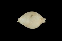 藏品(綉珠寶螺)的圖片